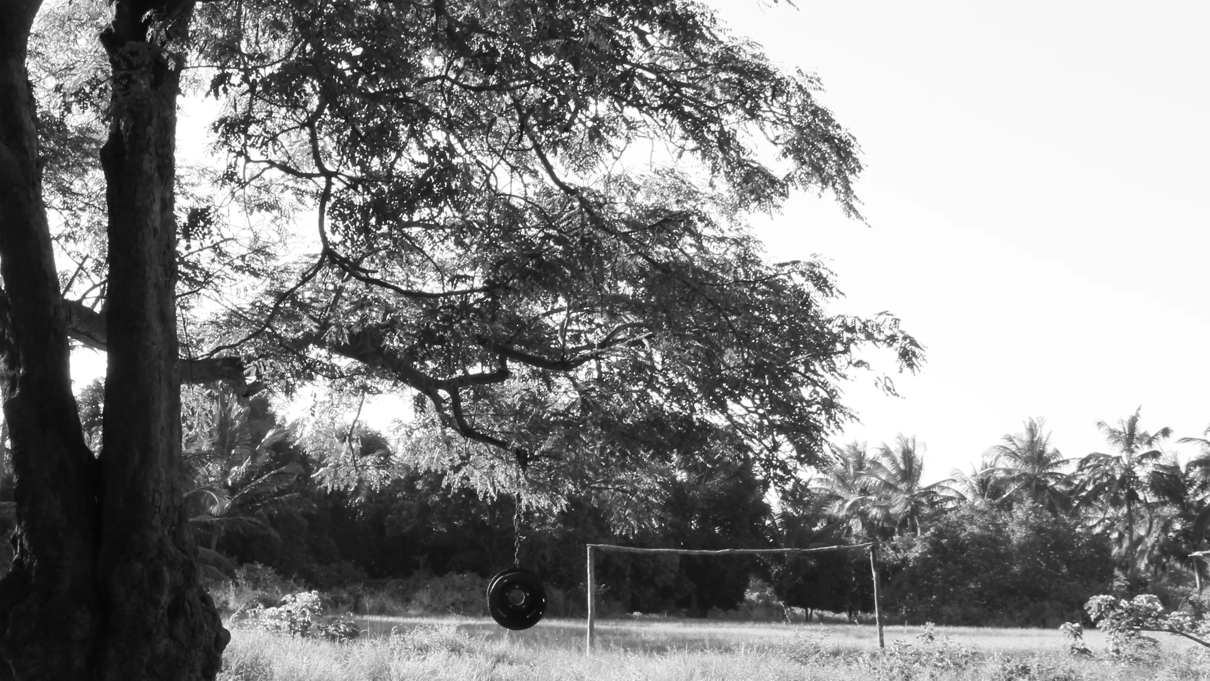 A gathering place under a large tree in a rural community